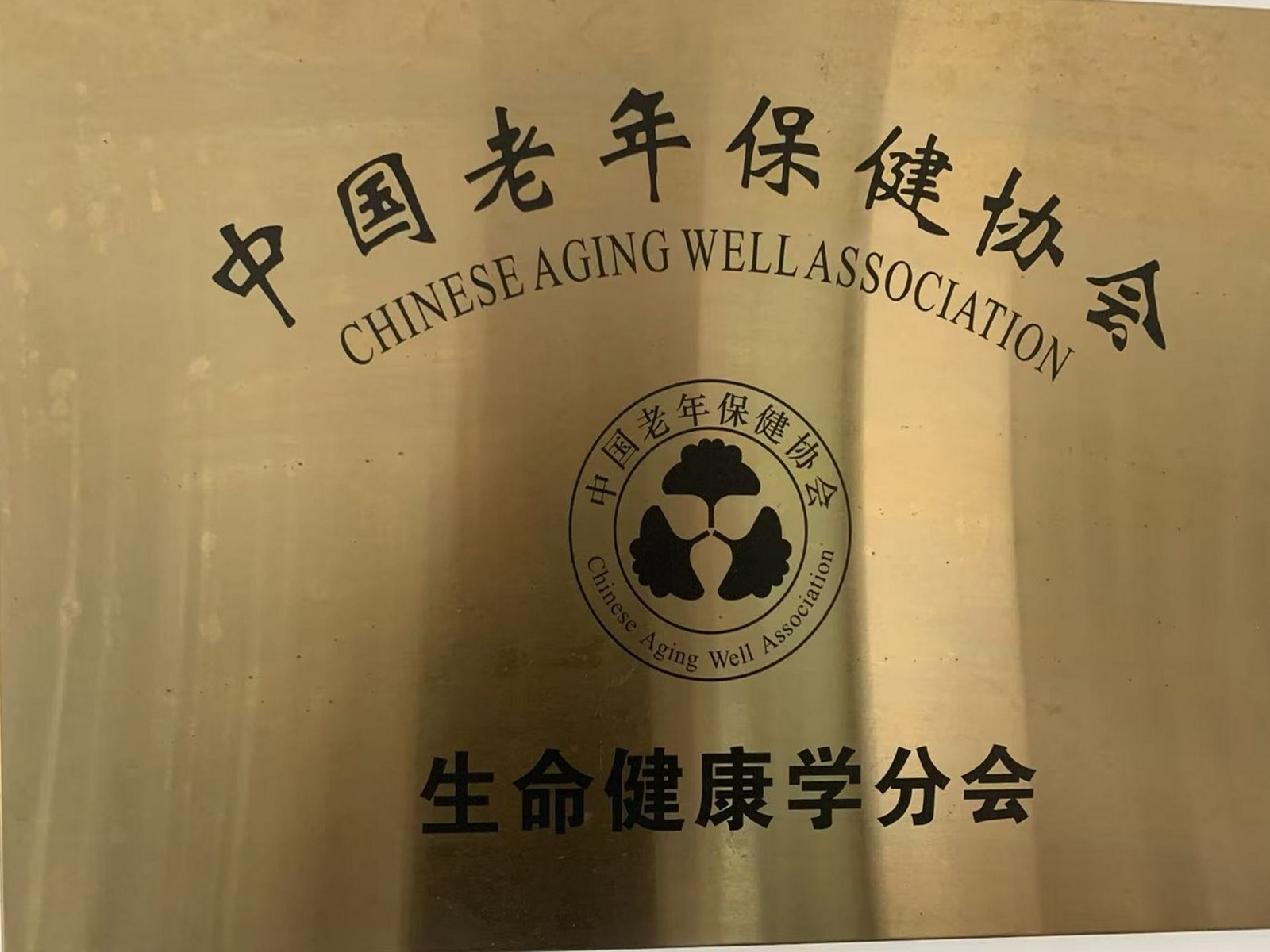 中国老年保健协会生命健康学分会